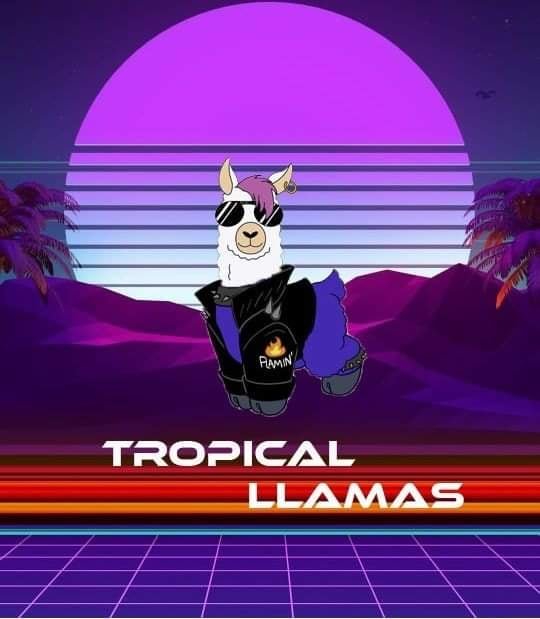 Tropical Llamas